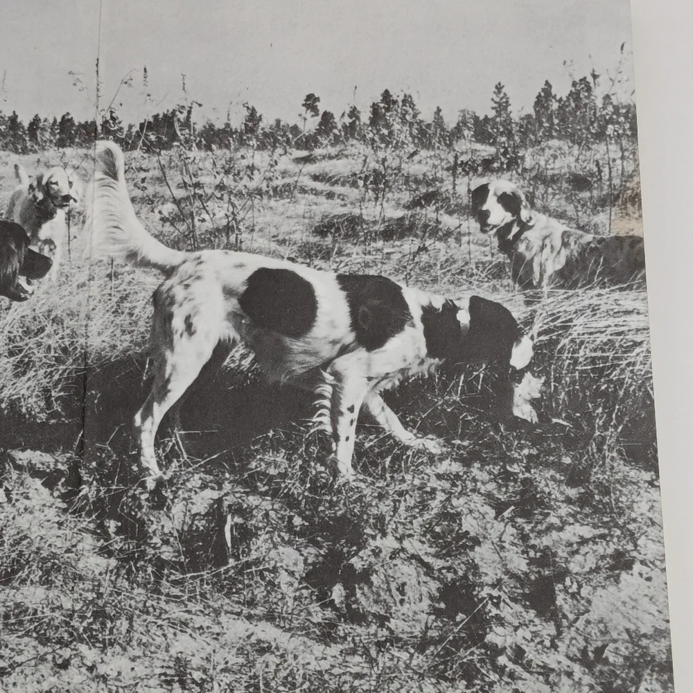 Vintage Set of Hunting Books by Richard A. Wolters - Picture 7 of 10